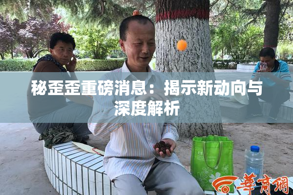 秘歪歪重磅消息：揭示新动向与深度解析