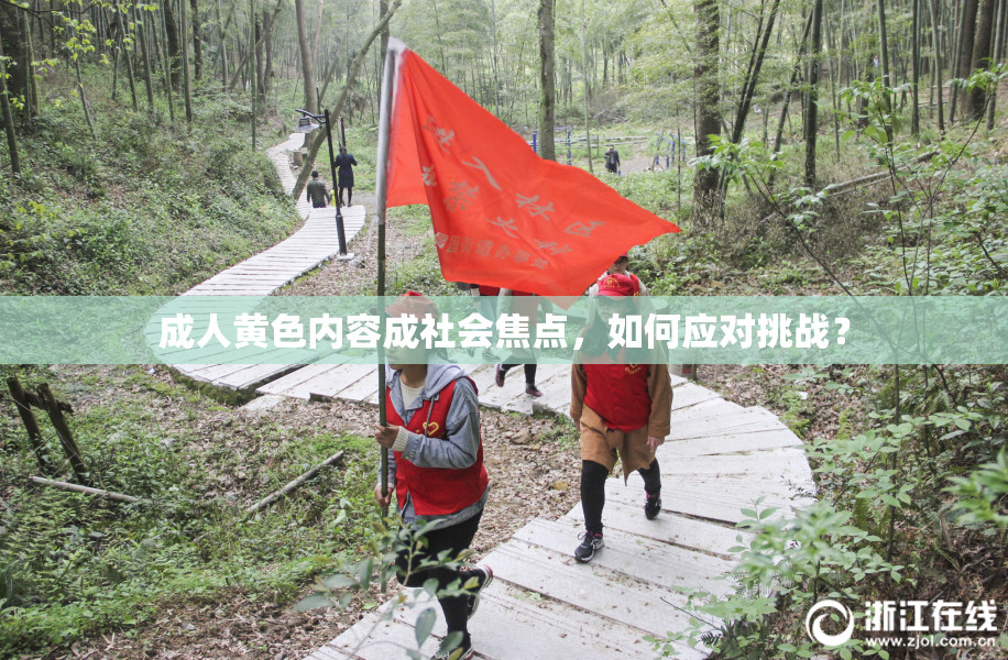 成人黄色内容成社会焦点，如何应对挑战？