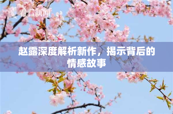 赵露深度解析新作，揭示背后的情感故事