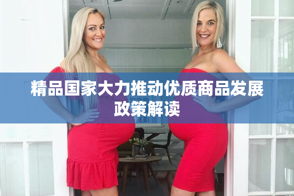 精品国家大力推动优质商品发展政策解读