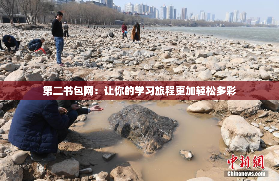 第二书包网：让你的学习旅程更加轻松多彩
