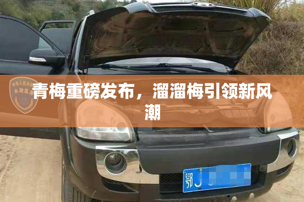 青梅重磅发布，溜溜梅引领新风潮