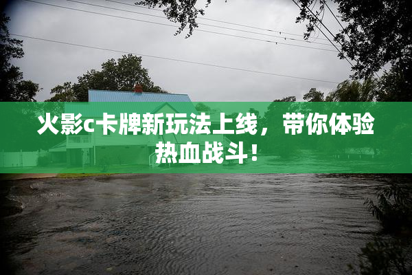 火影c卡牌新玩法上线，带你体验热血战斗！