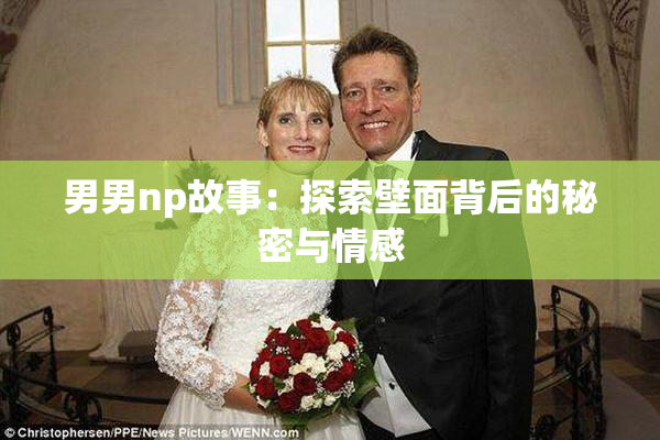 男男np故事：探索壁面背后的秘密与情感