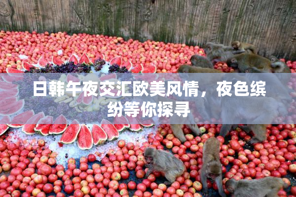 日韩午夜交汇欧美风情，夜色缤纷等你探寻