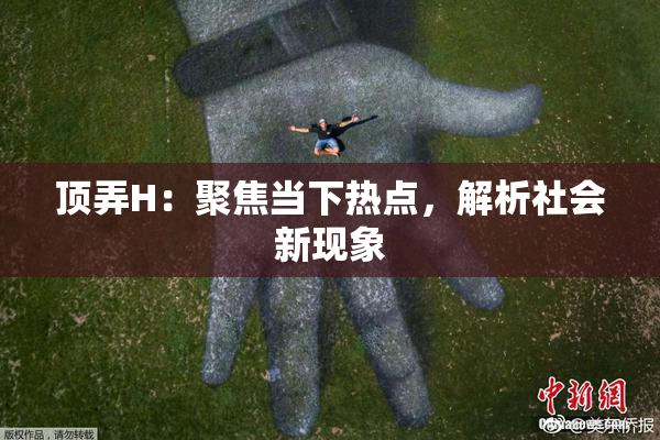 顶弄H：聚焦当下热点，解析社会新现象