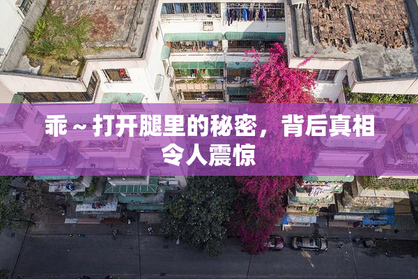 乖～打开腿里的秘密，背后真相令人震惊