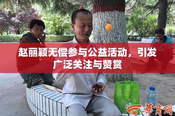 赵丽颖无偿参与公益活动，引发广泛关注与赞赏