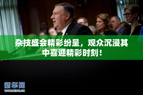 杂技盛会精彩纷呈，观众沉浸其中喜迎精彩时刻！