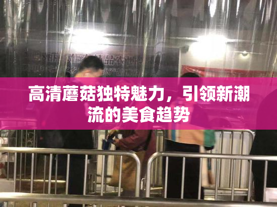 高清蘑菇独特魅力，引领新潮流的美食趋势
