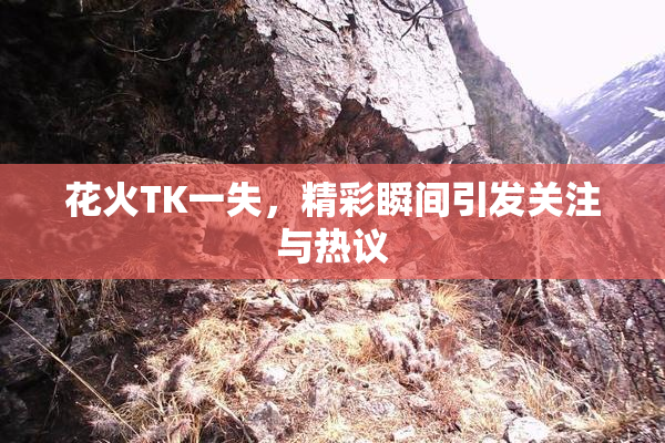 花火TK一失，精彩瞬间引发关注与热议