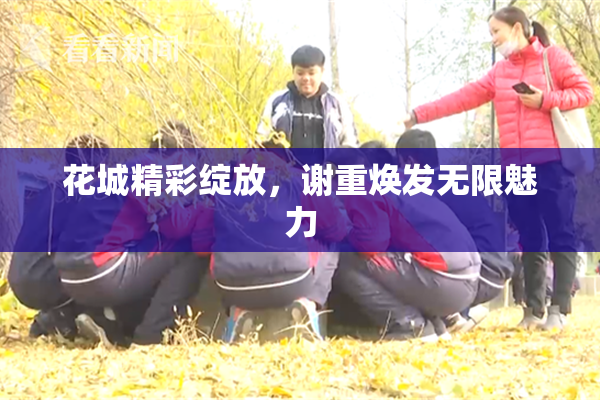 花城精彩绽放，谢重焕发无限魅力