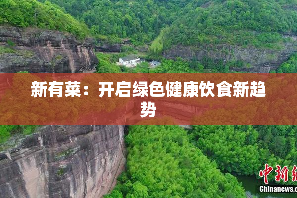 新有菜：开启绿色健康饮食新趋势