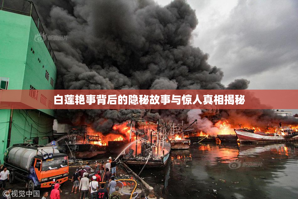 白莲艳事背后的隐秘故事与惊人真相揭秘