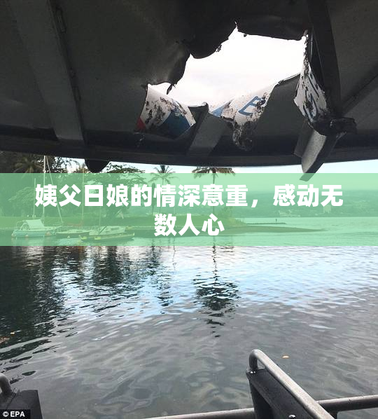 姨父日娘的情深意重，感动无数人心