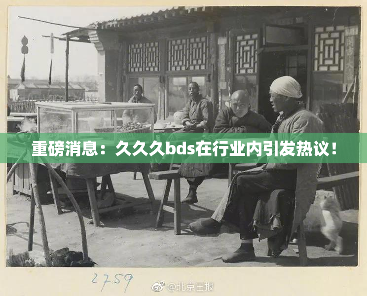 重磅消息：久久久bds在行业内引发热议！