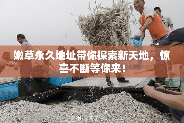 嫩草永久地址带你探索新天地，惊喜不断等你来！