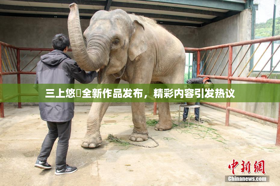 三上悠亜全新作品发布，精彩内容引发热议