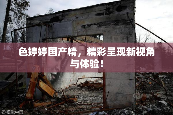 色婷婷国产精，精彩呈现新视角与体验！