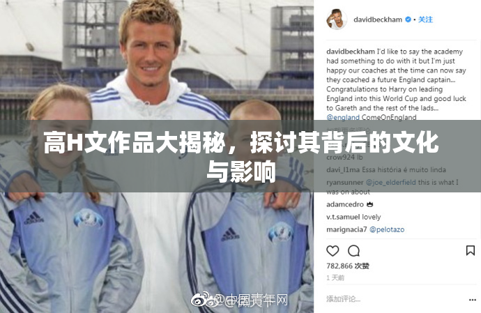 高H文作品大揭秘，探讨其背后的文化与影响