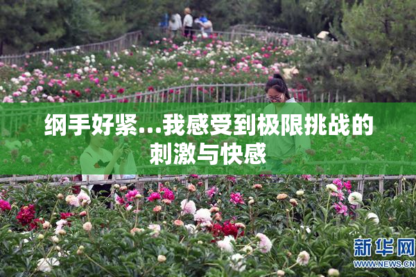 纲手好紧…我感受到极限挑战的刺激与快感
