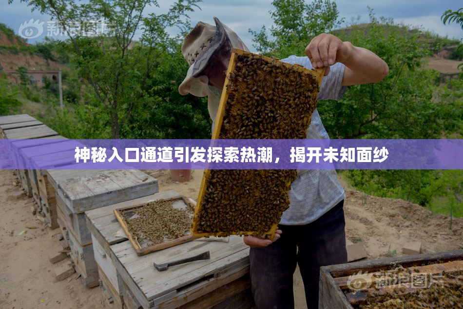 神秘入口通道引发探索热潮，揭开未知面纱