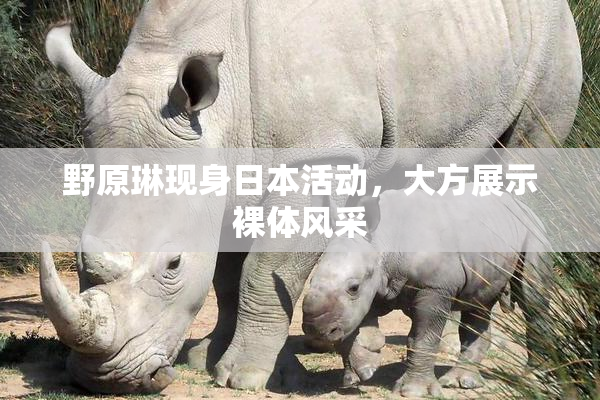 野原琳现身日本活动，大方展示裸体风采