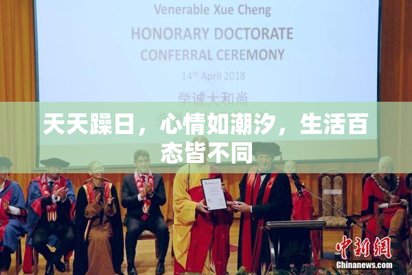 天天躁日，心情如潮汐，生活百态皆不同