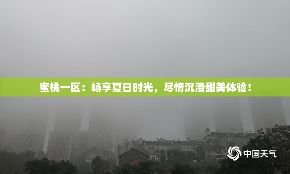 蜜桃一区：畅享夏日时光，尽情沉浸甜美体验！