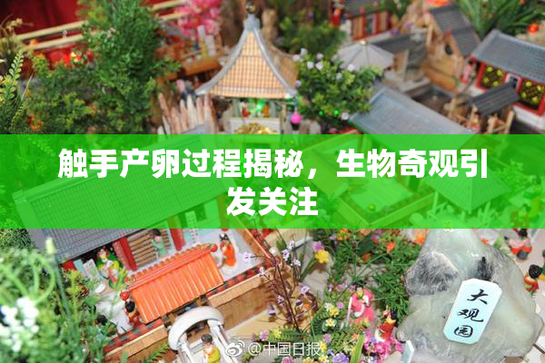 触手产卵过程揭秘，生物奇观引发关注