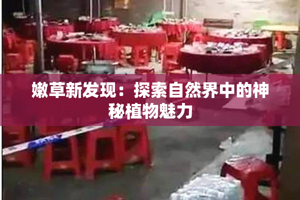 嫩草新发现：探索自然界中的神秘植物魅力