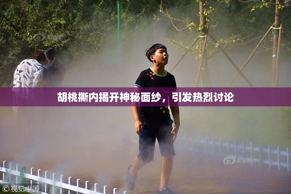 胡桃撕内揭开神秘面纱，引发热烈讨论