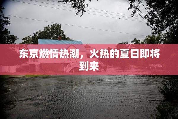东京燃情热潮，火热的夏日即将到来