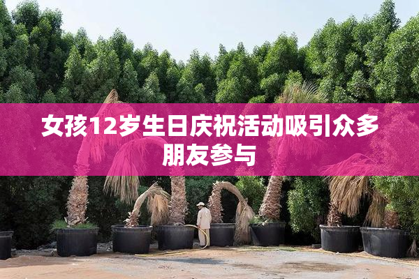 女孩12岁生日庆祝活动吸引众多朋友参与