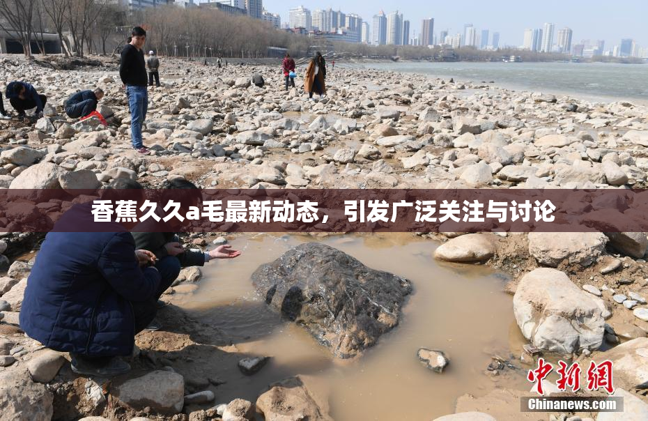 香蕉久久a毛最新动态，引发广泛关注与讨论