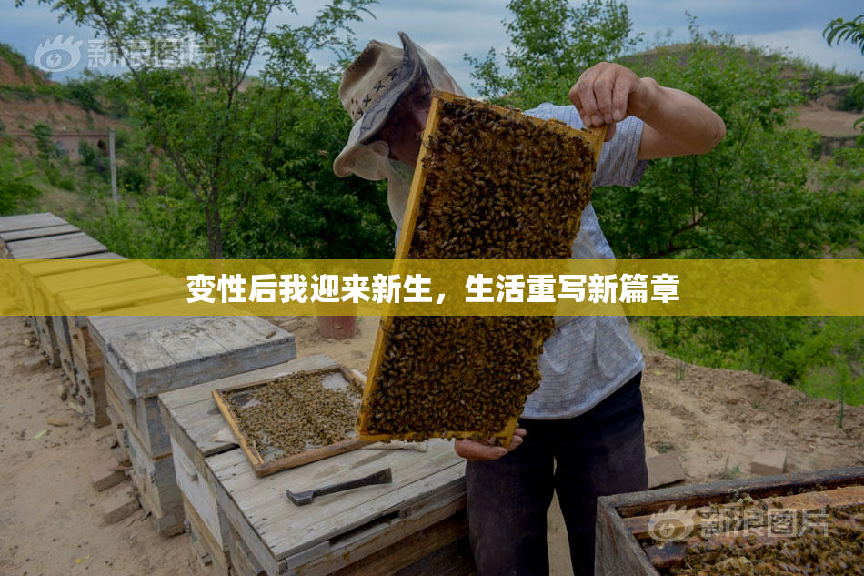 变性后我迎来新生，生活重写新篇章