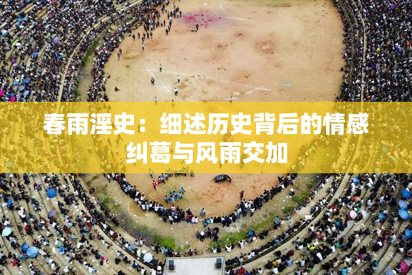 春雨淫史：细述历史背后的情感纠葛与风雨交加