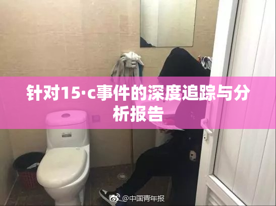 针对15·c事件的深度追踪与分析报告