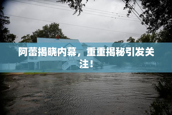 阿蕾揭晓内幕，重重揭秘引发关注！