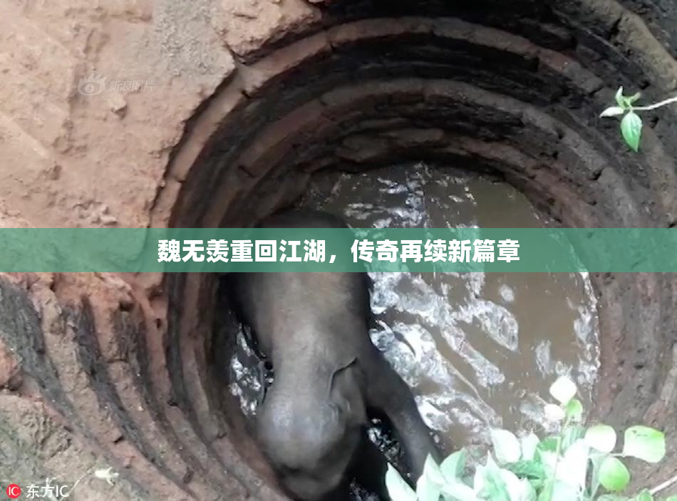 魏无羡重回江湖，传奇再续新篇章
