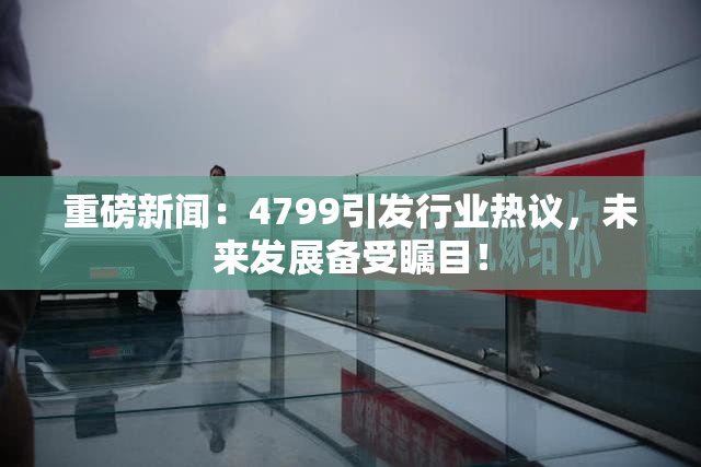 重磅新闻：4799引发行业热议，未来发展备受瞩目！