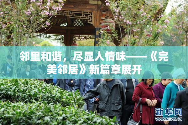 邻里和谐，尽显人情味——《完美邻居》新篇章展开