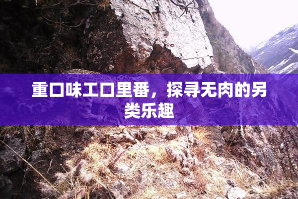 重口味工口里番，探寻无肉的另类乐趣