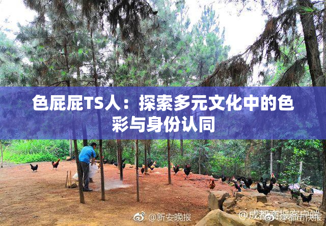 色屁屁TS人：探索多元文化中的色彩与身份认同