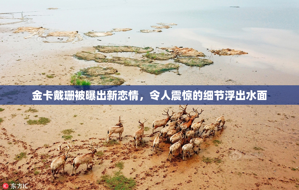 金卡戴珊被曝出新恋情，令人震惊的细节浮出水面