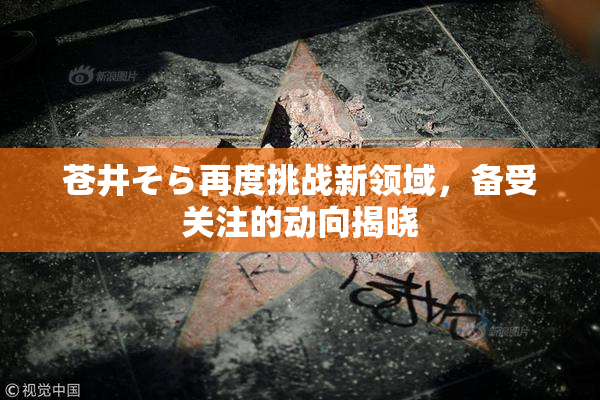 苍井そら再度挑战新领域，备受关注的动向揭晓