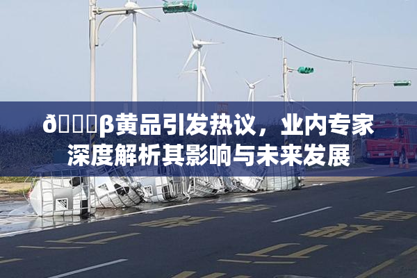 🔞β黄品引发热议，业内专家深度解析其影响与未来发展