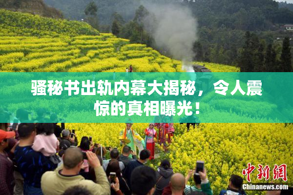 骚秘书出轨内幕大揭秘，令人震惊的真相曝光！