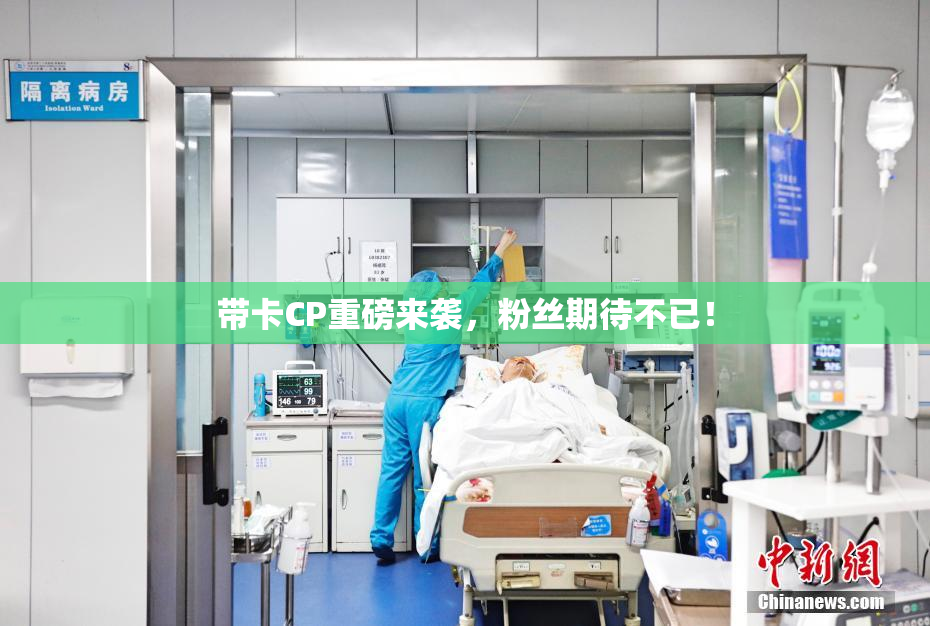 带卡CP重磅来袭，粉丝期待不已！