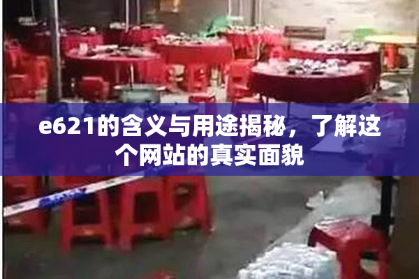 e621的含义与用途揭秘，了解这个网站的真实面貌